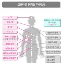 삼모라인내과의원 네이버블로그
