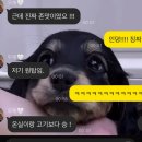 홍대 데이트 감성의 오꼬노미야끼 맛집 호요 재방문 후기