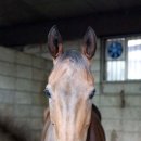 신세대@ 이미지