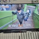 미미 | [미미등산] 충주 등산 여행 / 월악산 악어봉 충주호 단풍 (11/16) / 1박2일