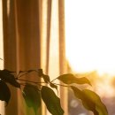 성남대로779번길 이미지