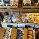 조리 대원리 은행나무길 이미지