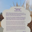 열린스틸(주) | 서울식물원 전시회 겨울 데이트 후기 볼거리추천