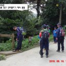 갈맷길 2-2 구간 이미지