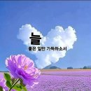 몰랐던 사실 숫자 4 (펌) 이미지