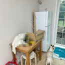 애견스케치 | 가성비 좋은 강화도 석모도 애견동반펜션 석모도스케치펜션 후기