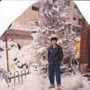 세림탕 이미지