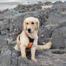 헤이든동물병원 이미지