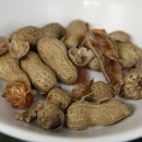 수향회식당 - 포항시 북구 죽도시장14길 3 | 수향회식당