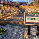 봉선부엉이체험마을 이미지