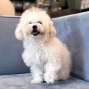 메르시 동물병원 이미지