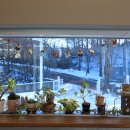 데이앤데이(day&day) 이미지