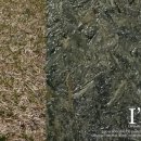 abstract I 이미지