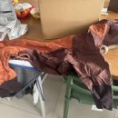 도그도마 이미지