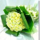 이쁜소리방 이미지