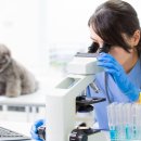 이프동물의료센터 이미지