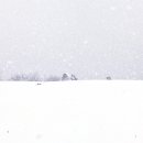 차즈리