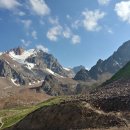 라디오닉스 이미지