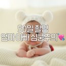 무료 50일 촬영 후기 | 조리원 연계 아기 성장 사진 기록 (스튜디오 컨셉별 정리)