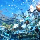 #3172 나는 누구인가?- 바다속 먹이 food under the sea 이미지