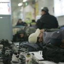 평화 이미지