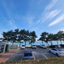 충남전세버스협동조합 | 서울 마포 우등버스대절 어울림관광협동조합