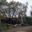 제일가든 이미지