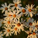 김밥타임 이미지