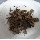 팔팔한의원 이미지