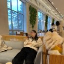 털로덮인친구들(키녹점) | 키녹 레벨업 스탬프리워드 프로그램 참여 및 보물찾기 이벤트 위생미용 후기🐾