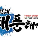 금오태권도 이미지