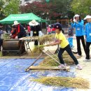 대전원평초등학교 이미지