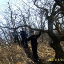 예수원 Daum카페