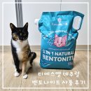 티에스엘 | 100% 자연 성분 티에스엘 네추럴 벤토나이트 모래 사용 후기[체험 후기]