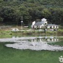 물왕 공중화장실 이미지