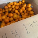 모슬포한라전복 | 모슬포 한라전복 본점 전복돌솥밥 먹어보고 솔직 후기