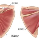 소니드체형교정센터