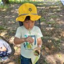 남한산초등학교 병설유치원 이미지