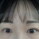 리니 브로우