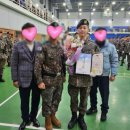 메그네이트비 이미지