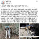 천상의 나무 이미지