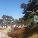 이행민박 이미지
