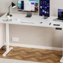 호몰호몰 이미지