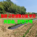 황금터 티스토리