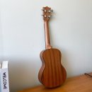 초등 우쿨렐레 이미지