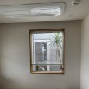 스테이 안도감 제주 이미지