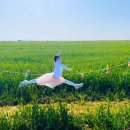 수월보건진료소 | 새만금 보리밭축제 2026 5월 초 김제에 간다면