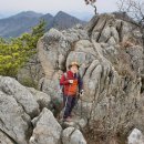 팔공산 삼성봉 산행기 이미지