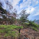 산마루풍경 이미지