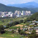 아미산숲센터 이미지